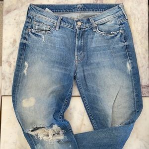 Mother the dropout Frey